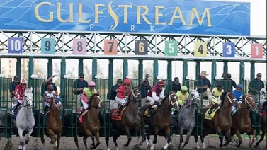 Aquí el Best Bet y los Tips para Gulfstream Park 18-04-2024