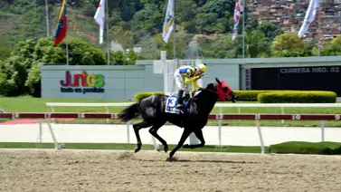 Mira el ajuste de El de Froix de cara al Presidente de la República (GI) en La Rinconada Mira el ajuste de El de Froix de cara al Presidente de la República (GI) en La Rinconada