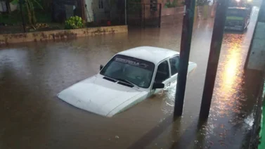 Intensas lluvias causan estragos en diferentes zonas del país 