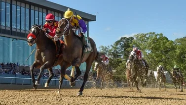 Aquí lo que decidió el juez sobre el potro que entrena Bob Baffert y el Kentucky Derby 