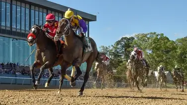 Aquí lo que decidió el juez sobre el potro que entrena Bob Baffert y el Kentucky Derby  Aquí lo que decidió el juez sobre el potro que entrena Bob Baffert y el Kentucky Derby