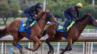 Potra que costó $1.250.000 debuta este sábado en Estados Unidos Potra que costó $1.250.000 debuta este sábado en Estados Unidos