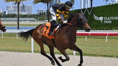 Así quedaron los resultados de las carreras Gulfstream Park 18-04-2024