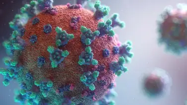 La OMS estandariza los términos de los patógenos transmisibles por el aire La OMS estandariza los términos de los patógenos transmisibles por el aire