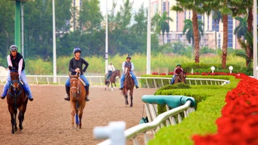 Aquí el Best Bet y los Tips para Gulfstream Park 19-04-2024