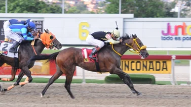 Mira como ajustó este ejemplar que de ganar tumba todos los cuadros del 5y6