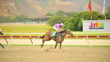 Así ajustó el dato de "los vivitos" para el 5y6 en La Rinconada Así ajustó el dato de "los vivitos" para el 5y6 en La Rinconada