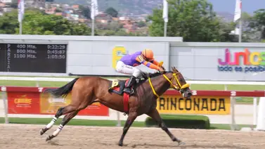 Mira como le fue a Caramel Arrow con las orejas taponadas en su ajuste Mira como le fue a Caramel Arrow con las orejas taponadas en su ajuste