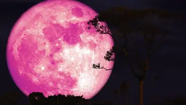 ¿Cuándo y cómo podrás ver la "Luna Rosa" en EE.UU.? ¿Cuándo y cómo podrás ver la "Luna Rosa" en EE.UU.?