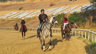 Datos de Última Hora para el Hipódromo La Rinconada 21-04-2024