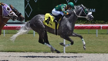 Jockeys venezolanos Derby Winners abren con triunfos este sábado en Estados Unidos