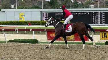 Templario en emocionante final se lleva el Clásico Internacional Presidente de la República (G1) Templario en emocionante final se lleva el Clásico Internacional Presidente de la República (G1)