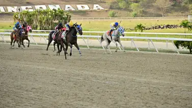 Aprendiz de la Rinconada es suspendido en la reunión 15 por esta razón Aprendiz de la Rinconada es suspendido en la reunión 15 por esta razón