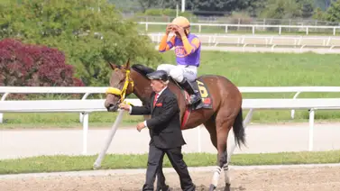 Esto informó el jinete de Caramel Arrow a los comisarios del INH Esto informó el jinete de Caramel Arrow a los comisarios del INH