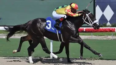 Emisael Jaramillo montará en el Kentucky Derby (G1) de 2024 Emisael Jaramillo montará en el Kentucky Derby (G1) de 2024