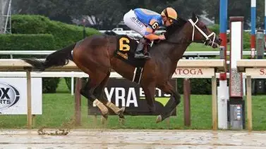 Aquí los dividendos de los ejemplares en apuestas del Kentucky Derby 2024 Aquí los dividendos de los ejemplares en apuestas del Kentucky Derby 2024