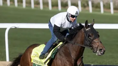 Así voló en sus trabajos el ejemplar que conducirá Junior Alvarado en el Kentucky Derby Así voló en sus trabajos el ejemplar que conducirá Junior Alvarado en el Kentucky Derby