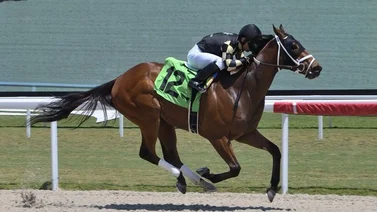 Sonny León rompe récord con dividendos este domingo en Gulfstream Park