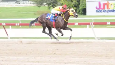 Hijo de Vacation vuelve a la pista luego de 77 días sin competir en La Rinconada Hijo de Vacation vuelve a la pista luego de 77 días sin competir en La Rinconada