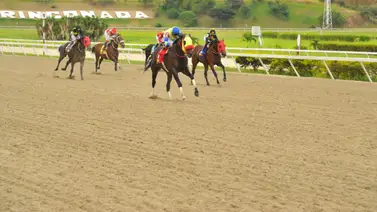 Fernando Parilli reaparece purasangre que tiene 49 días sin correr en La Rinconada Fernando Parilli reaparece purasangre que tiene 49 días sin correr en La Rinconada