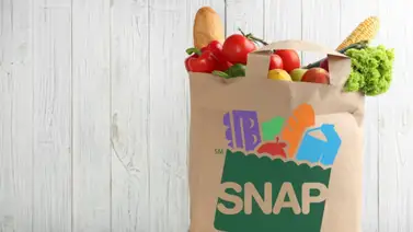 Cupones SNAP de hasta $3.874 serán asignados a los beneficiarios (+Fecha) Cupones SNAP de hasta $3.874 serán asignados a los beneficiarios (+Fecha)