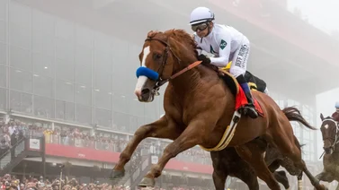 Justify exaltado al Hall de la Fama del hipismo Norteamericano