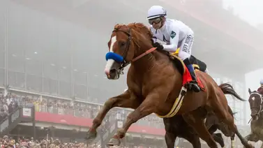 Justify exaltado al Hall de la Fama del hipismo Norteamericano Justify exaltado al Hall de la Fama del hipismo Norteamericano