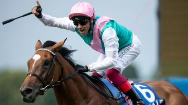 Lanfranco Dettori ya tiene monta para el Kentucky Derby 2024 (G1)