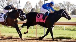 Esta es la última carta que le queda a Javier Castellano para montar en el Kentucky Derby