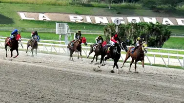 Medio hermano de Amelazado debuta en La Rinconada Medio hermano de Amelazado debuta en La Rinconada