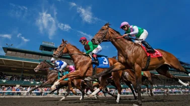 Aquí el Best Bet y los Tips para Keeneland 24-04-2024