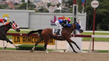 Aprendiz con chance de ganar el domingo en La Rinconada (+Video)