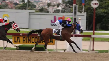 Aprendiz con chance de ganar el domingo en La Rinconada (+Video) Aprendiz con chance de ganar el domingo en La Rinconada (+Video)