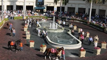 Aquí el Best Bet y los Tips para Gulfstream Park 25-04-2024