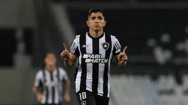 Jefferson Savarino encarrila a Botafogo en Copa Libertadores (+ Video) Jefferson Savarino encarrila a Botafogo en Copa Libertadores (+ Video)