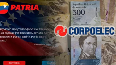 ¿Sabías que puedes pagar Corpoelec por la plataforma Patria? Aquí te decimos cómo
