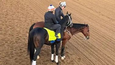 Este ejemplar está en duda para correr el Kentucky Derby Este ejemplar está en duda para correr el Kentucky Derby
