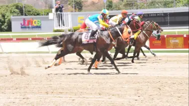 Así ajustó el hijo de King Seraf previo a su debut en La Rinconada Así ajustó el hijo de King Seraf previo a su debut en La Rinconada