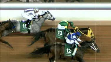 Estas son las 10 carreras de caballos más millonarias en el mundo Estas son las 10 carreras de caballos más millonarias en el mundo