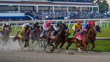 Aquí el Best Bet y los Tips para el Pick 6 Gulfstream Park 08-02-2024