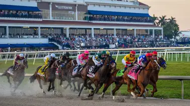 7 años de suspensión y $95.000 de multa para este entrenador de caballos 7 años de suspensión y $95.000 de multa para este entrenador de caballos