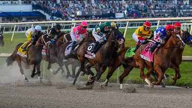 ¡Candente! Estos son los ocho entrenadores de purasangres con casos pendientes por uso de fármacos no permitidos ¡Candente! Estos son los ocho entrenadores de purasangres con casos pendientes por uso de fármacos no permitidos