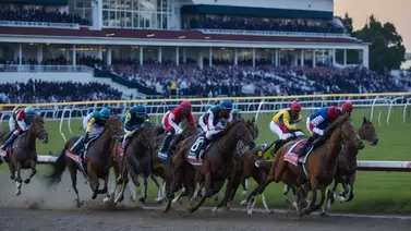Conoce a los doce potros que definen este sábado el camino hacia el Kentucky Derby Conoce a los doce potros que definen este sábado el camino hacia el Kentucky Derby