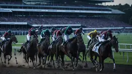 Estos son los 11 potros que van por $1.000.000 en el Florida Derby este sábado