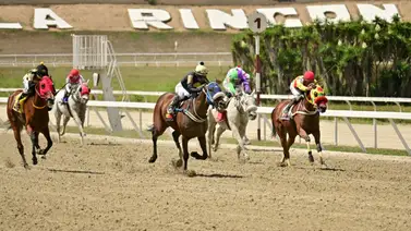 Mira el ajuste de este ejemplar de Luis Peraza en el cierre del meeting Mira el ajuste de este ejemplar de Luis Peraza en el cierre del meeting