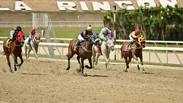 Este fue el ajuste de este favorito de Gaceta Hípica en una de las válidas Este fue el ajuste de este favorito de Gaceta Hípica en una de las válidas