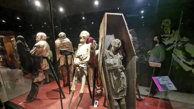 Las Momias de Guanajuato: Testigos silenciosos de la Historia y la Tradición Mexicana