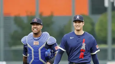 MLB: Estos son los jugadores que llevan la pelota lejos con más frecuencia MLB: Estos son los jugadores que llevan la pelota lejos con más frecuencia