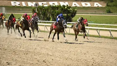 Conoce el ajuste de la línea de Gaceta Hípica sin estos implementos Conoce el ajuste de la línea de Gaceta Hípica sin estos implementos