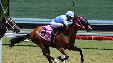 Edgar “tendón” Pérez pegó dos batacazos este jueves en Gulfstream Park Edgar “tendón” Pérez pegó dos batacazos este jueves en Gulfstream Park